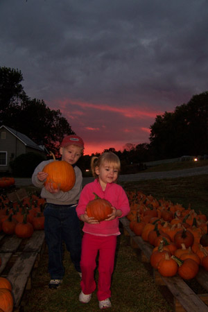 pumpkinpatch