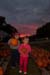 pumpkinpatch