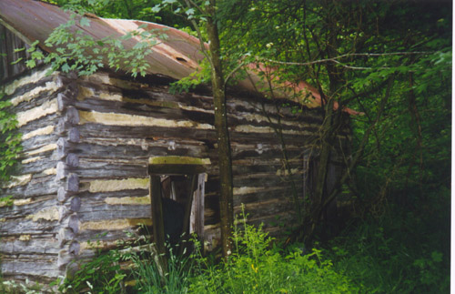 SaltCreekSmithCabin3