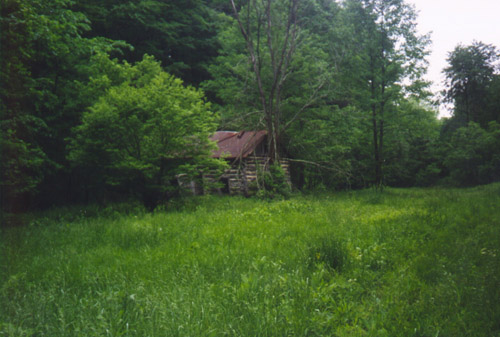 SaltCreekSmithCabin4